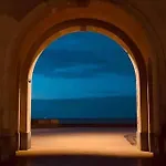 Belle De Nuit