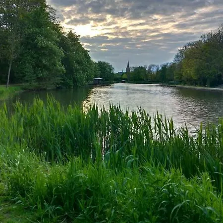 Belle De Nuit Ostende