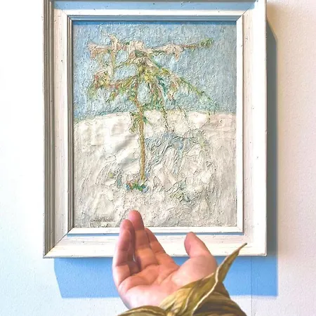 Belle De Nuit Homestay