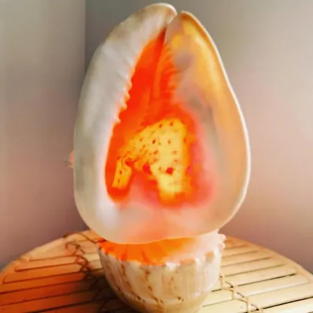 Belle De Nuit Privatunterkunft Ostende