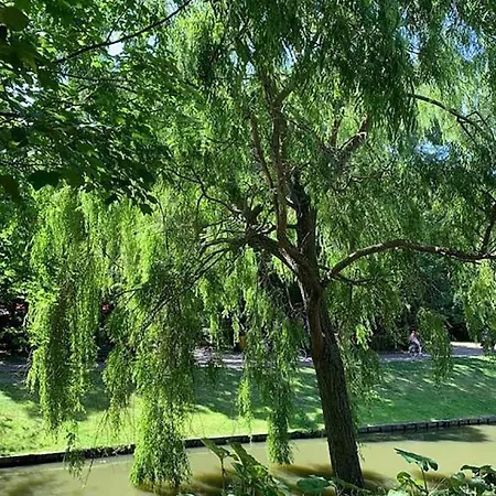 Homestay Belle De Nuit Ostend